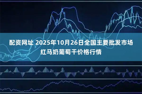 配资网址 2025年10月26日全国主要批发市场红马奶葡萄干价格行情
