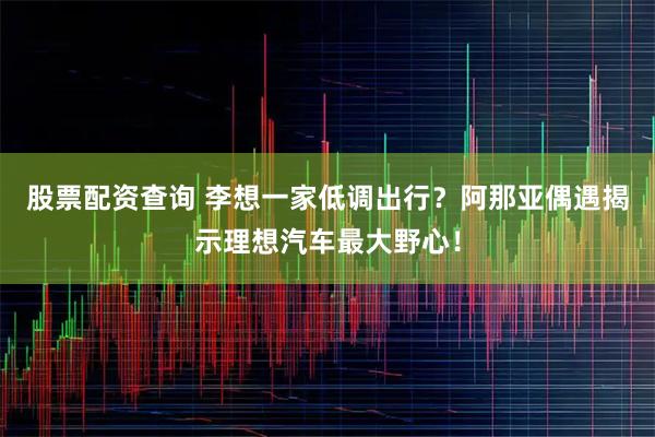 股票配资查询 李想一家低调出行？阿那亚偶遇揭示理想汽车最大野心！